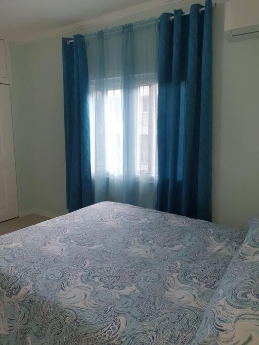 Central Upscale New Kingston Apt With Pool Eksteriør billede
