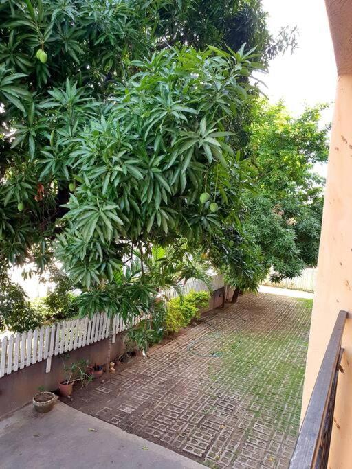 Central Upscale New Kingston Apt With Pool Eksteriør billede